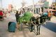 China: Donkey hauling vegetables, Yarkand, Xinjiang Province